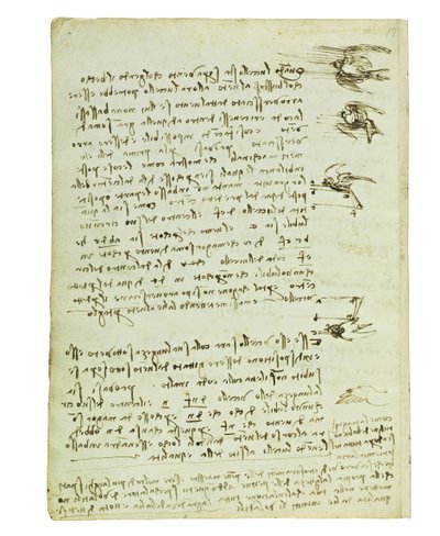 Codex over de vlucht van vogels, Folio 8 verso door Leonardo da Vinci